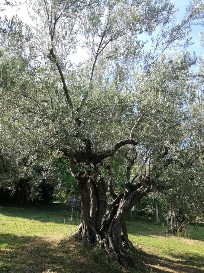 Vacanze In Collina, Tra Mare E Monti Bucchianico エクステリア 写真